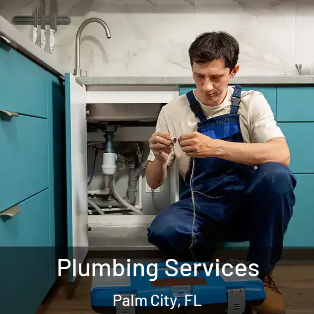 Plumbing Services Palm City, FL